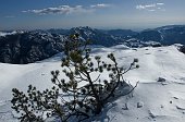 18-DALL'ALTURA DEI MUGHI SGUARDO SULLA STRADA PERCORSA